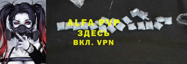 ешки Белокуриха