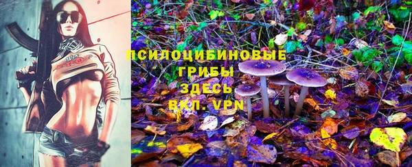 ешки Белокуриха