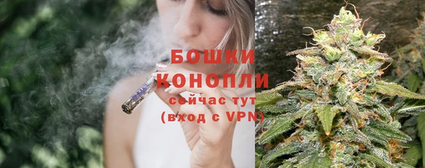 ешки Белокуриха