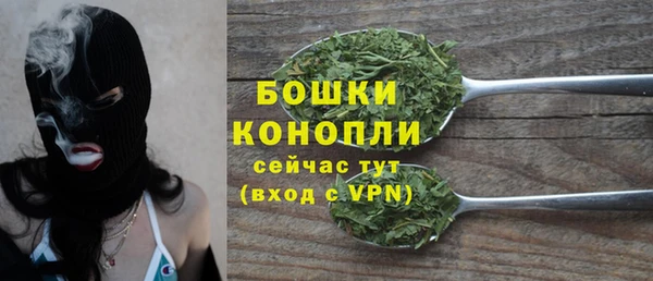 ешки Белокуриха