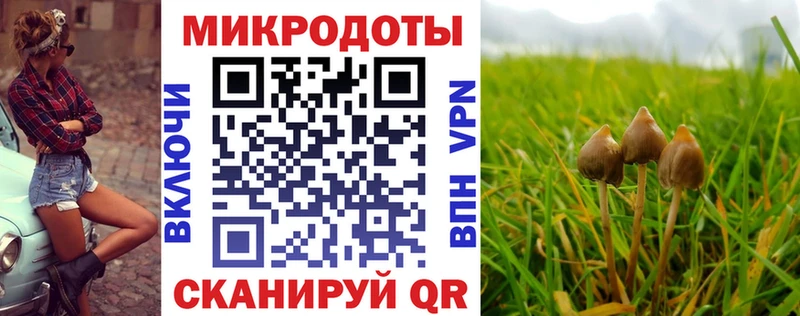 Галлюциногенные грибы Psilocybine cubensis  Арзамас 
